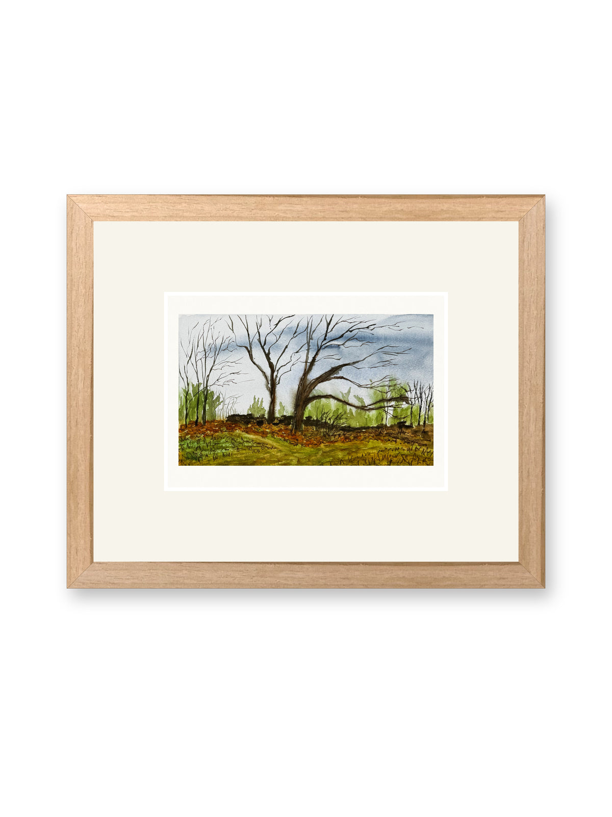 Daisy Wilson Meadow oaks, line and watercolor painting shown in its frame