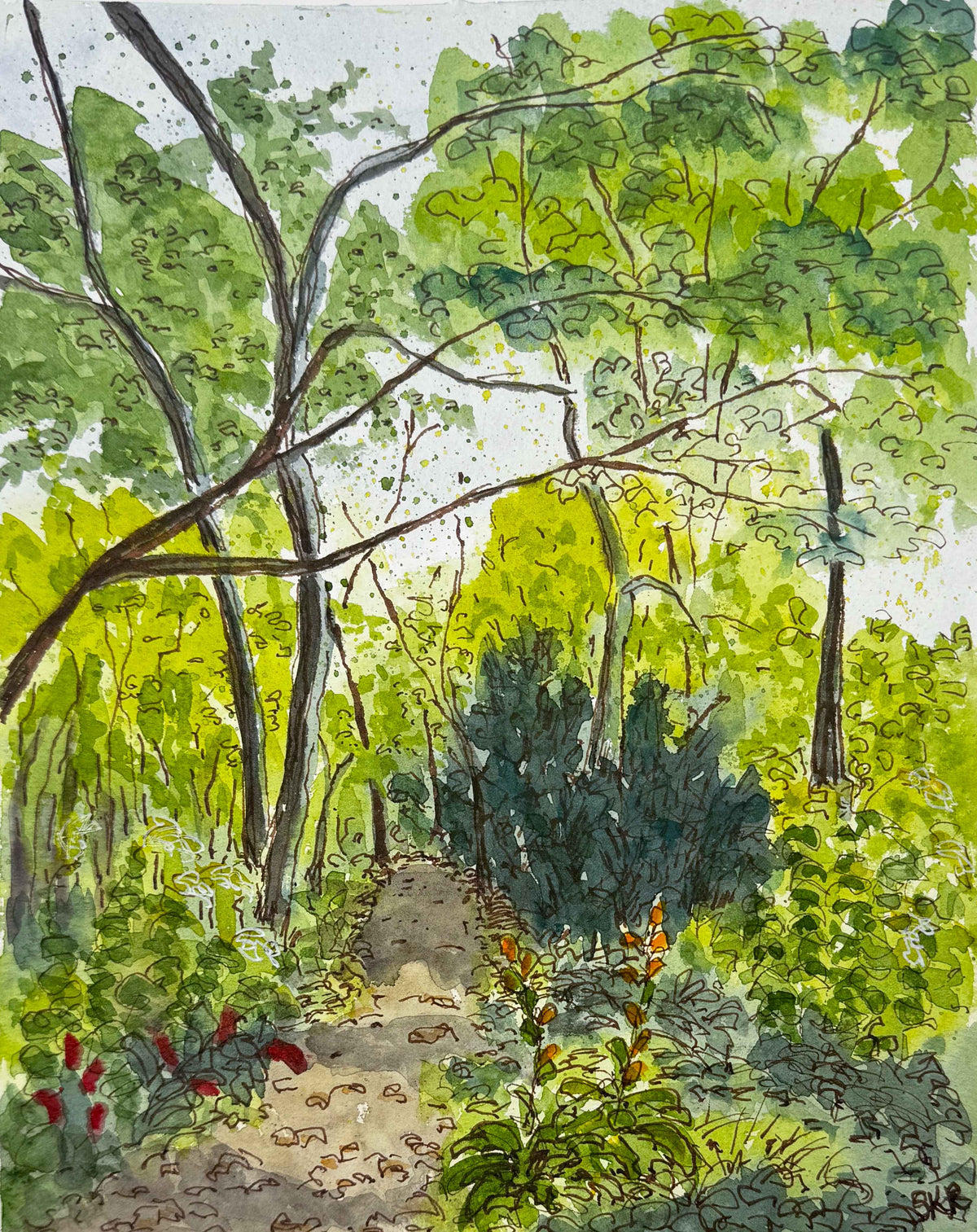 Wooded path, line and watercolor painting (print)