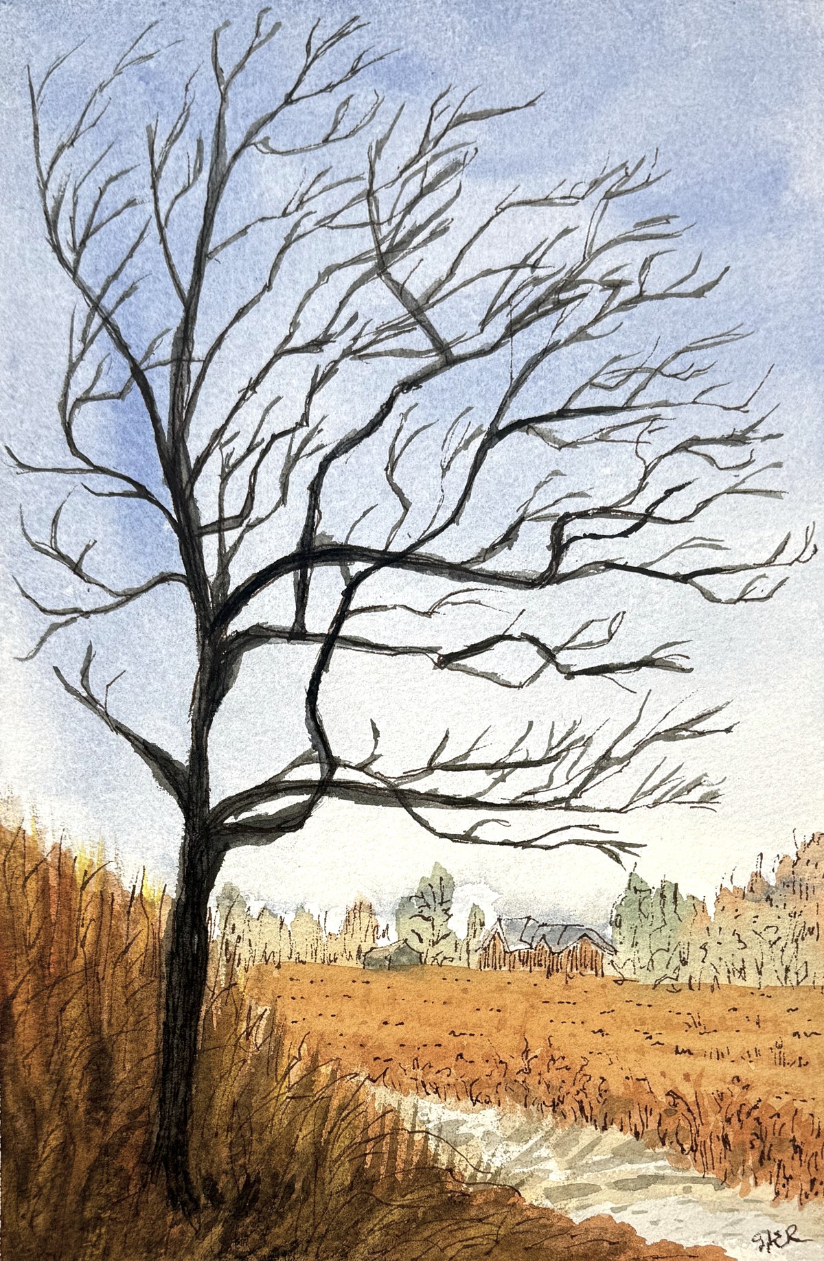 Windswept, line and watercolor painting (print)