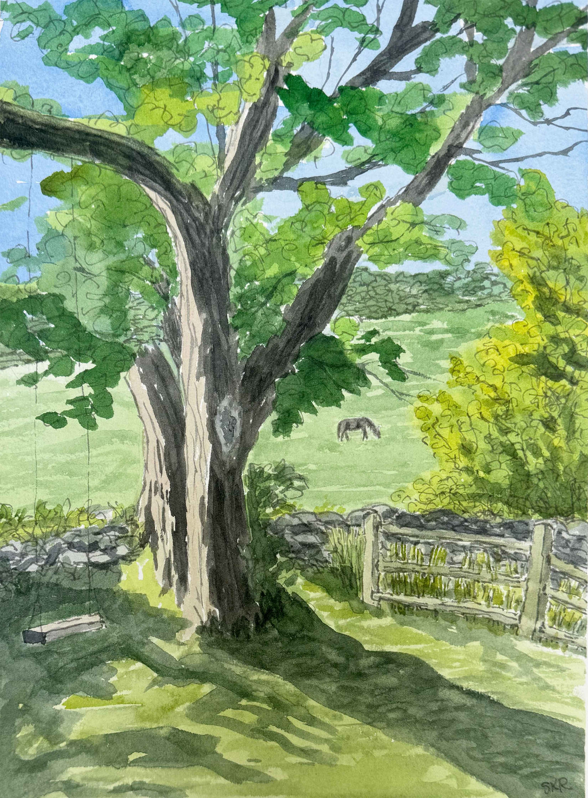 Old elm, line and watercolor painting (print)