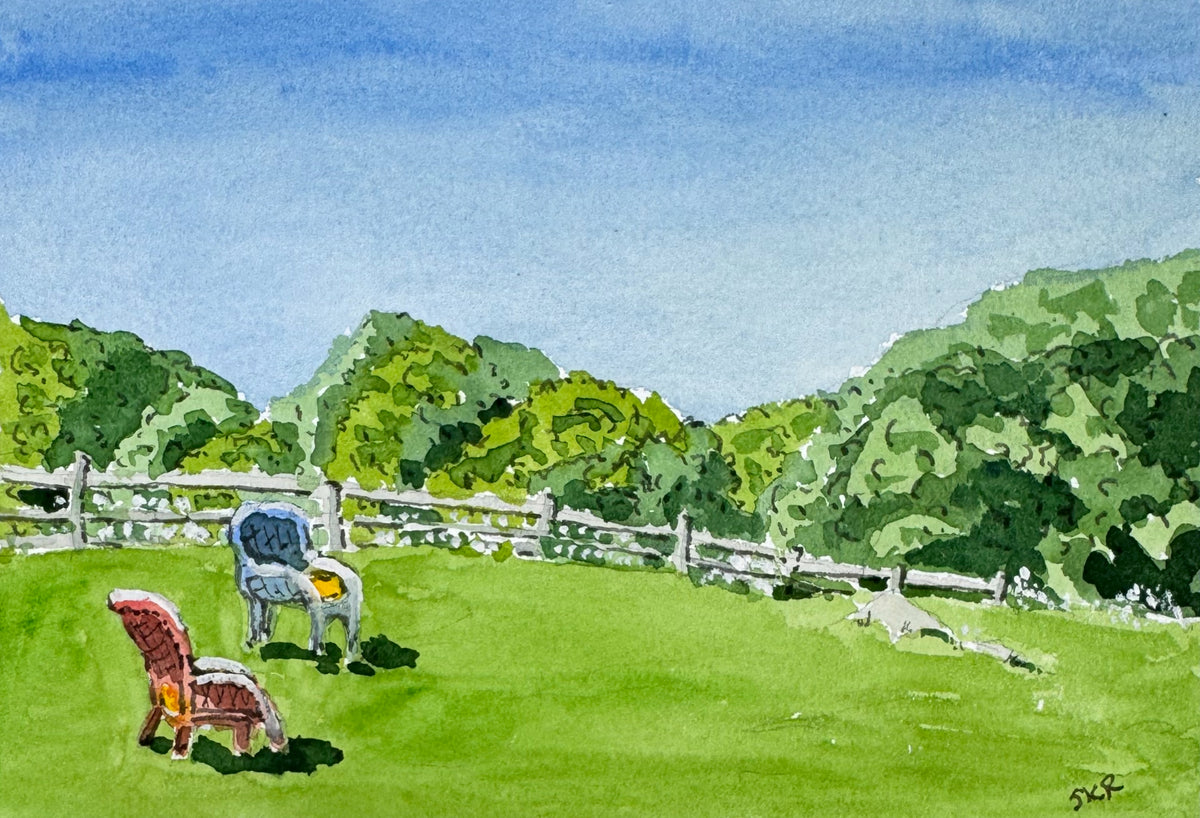Wicker lawn chairs